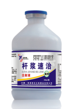 杆浆速治