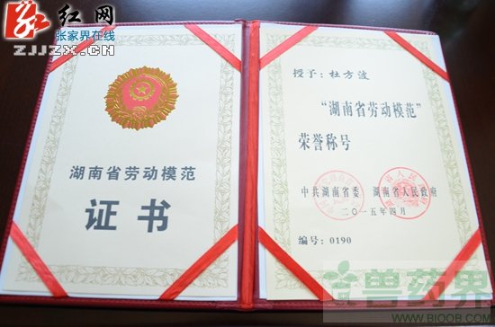 【劳动最美丽】杜方波：坚守深山忙劳作的&ldquo;养猪能手&rdquo;