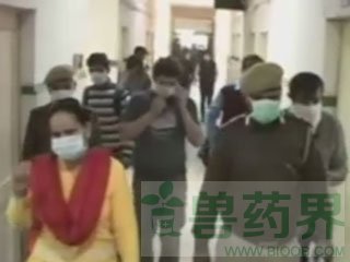 印度爆发猪流感 一瑞士游客死亡